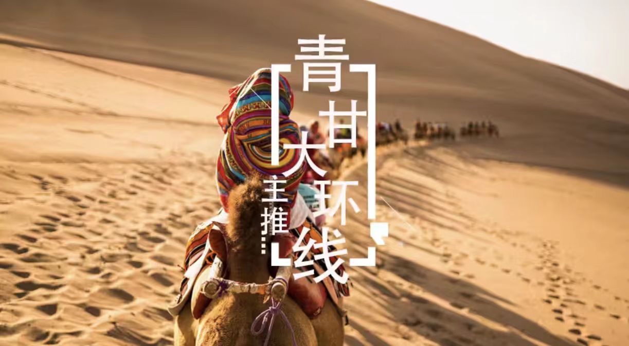 “心甘青愿”，赴一场大西北的浪漫